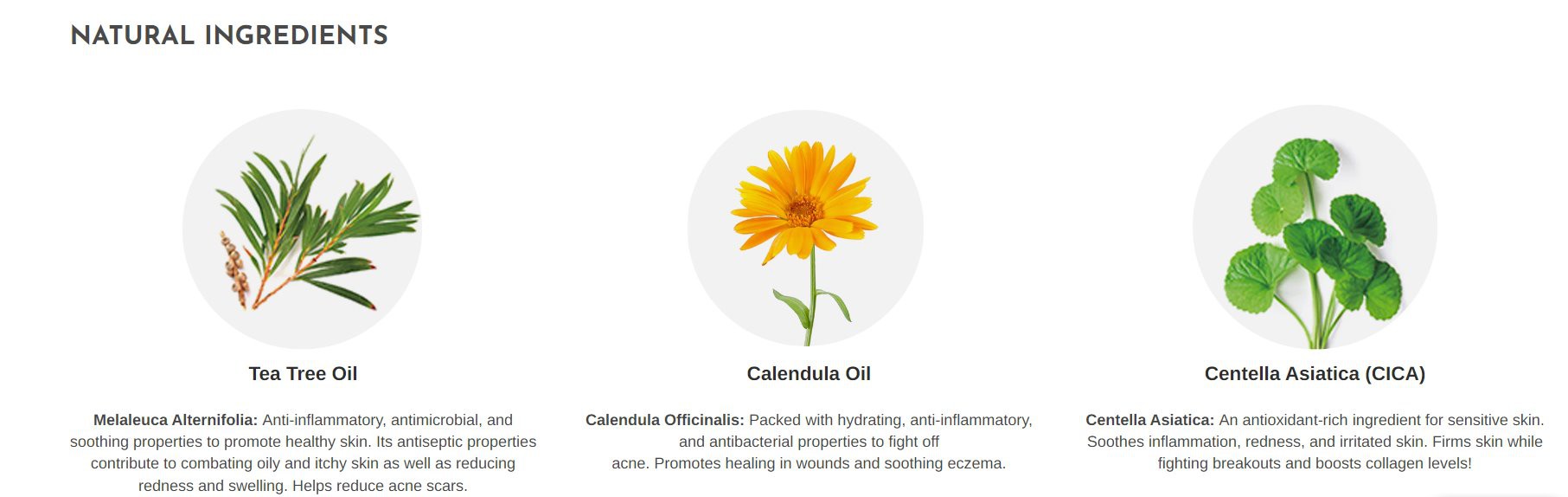 tea tree oil tea tree oil